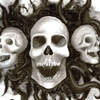 skull snakes
