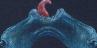 TittyLicker